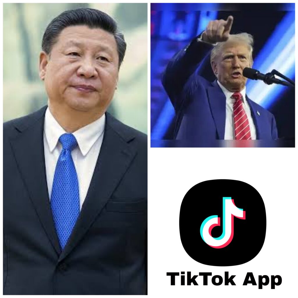 TikTok App